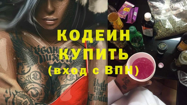 дурь Арсеньев