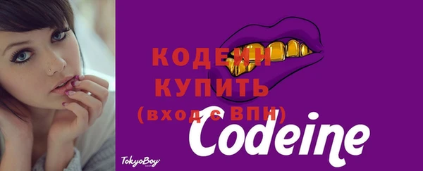 дурь Арсеньев